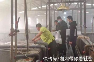 濱州市開展冬季工廠化養殖水產品監督抽查 20批次全部合格彰顯質量安全